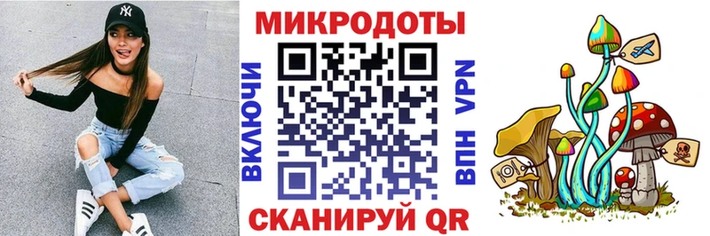 Галлюциногенные грибы Psilocybe  Куса 