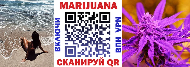 где можно купить наркотик  MEGA рабочий сайт  Канабис семена  Куса 